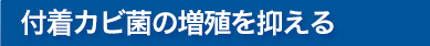 付着カビ菌の増殖抑制効果