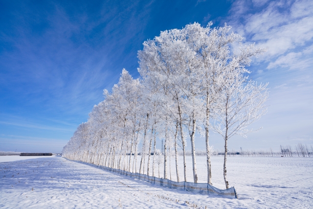 雪